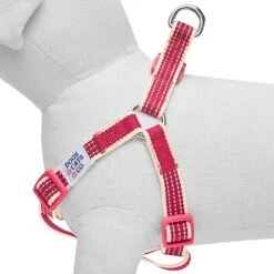 Dogs & Cats & Co. In The Night Dog Harness For Safety 38 Dogs & Cats & Co. In The Night Dog Harness For Safety -Dog & Cat Store 1060627042 4