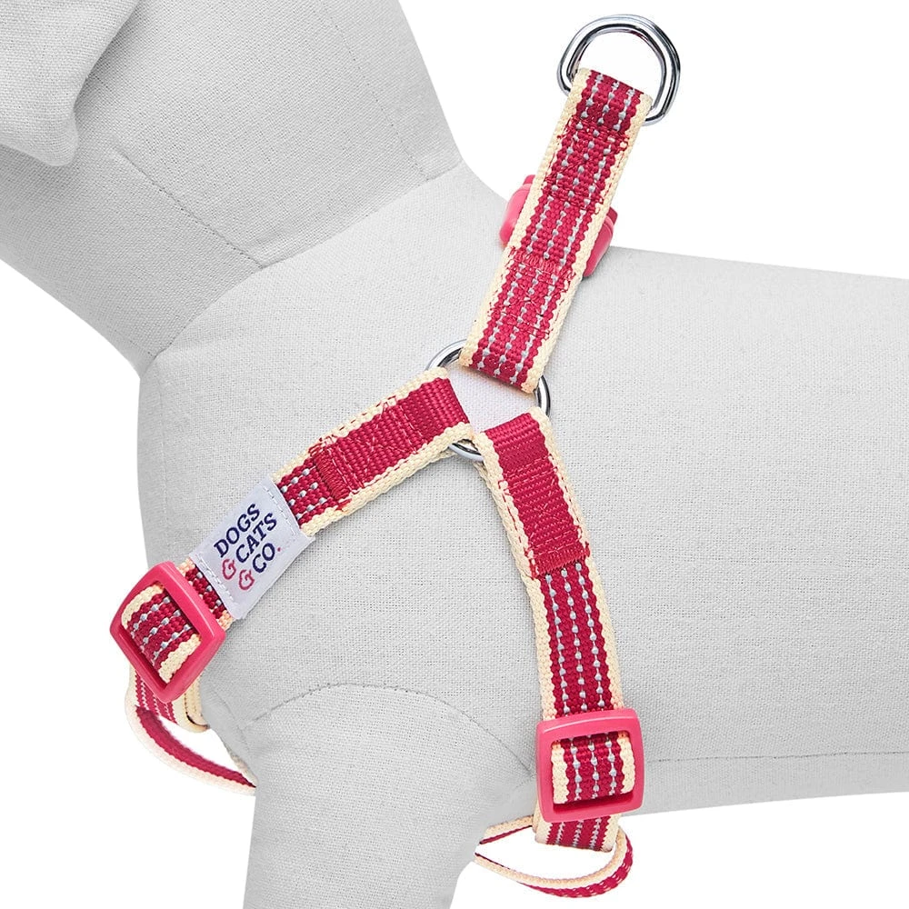 Dogs & Cats & Co. In The Night Dog Harness For Safety 19 Dogs & Cats & Co. In The Night Dog Harness For Safety - Image 19