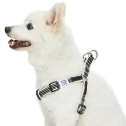 Dogs & Cats & Co. In The Night Dog Harness For Safety 26 Dogs & Cats & Co. In The Night Dog Harness For Safety -Dog & Cat Store 1060629046 2