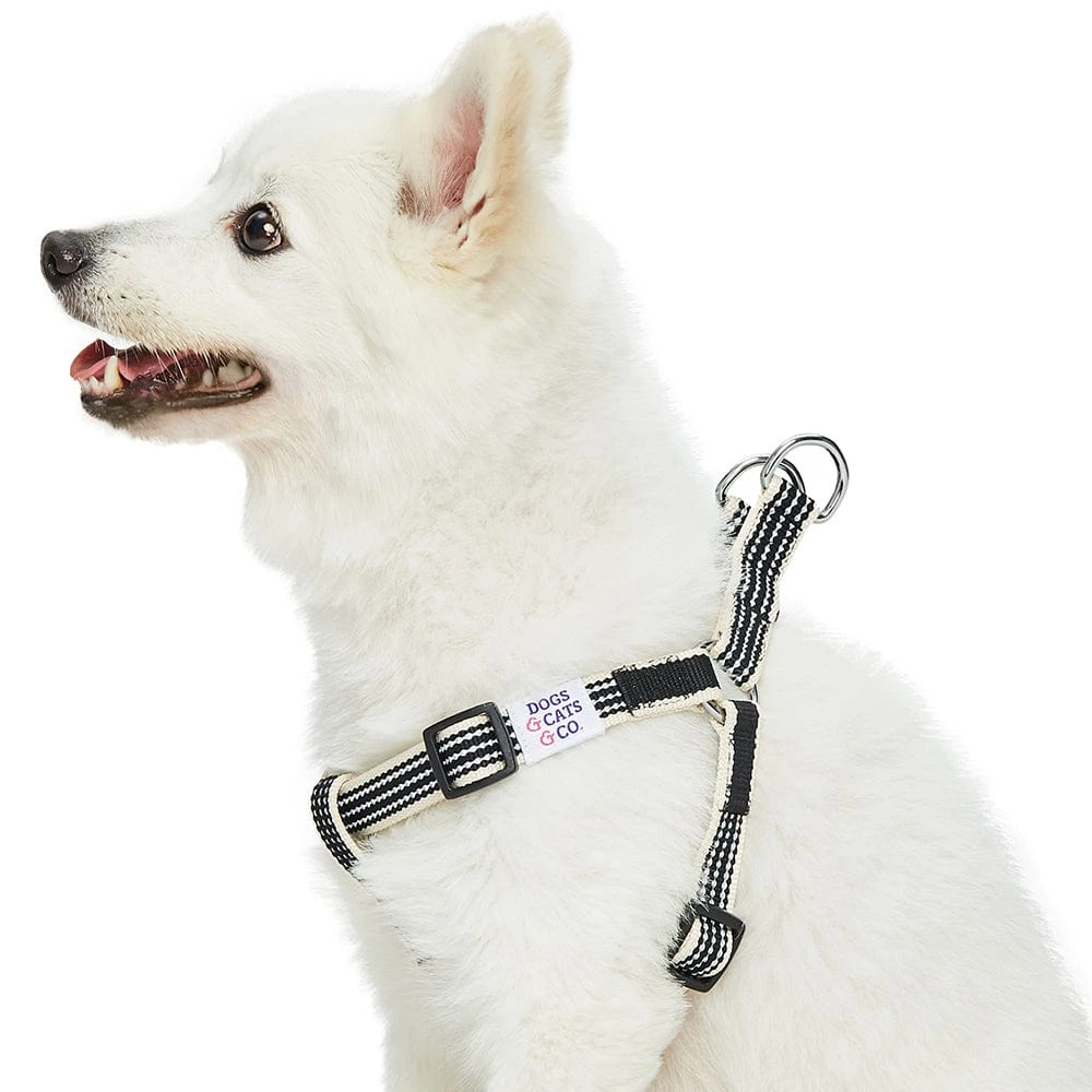 Dogs & Cats & Co. In The Night Dog Harness For Safety 7 Dogs & Cats & Co. In The Night Dog Harness For Safety - Image 7