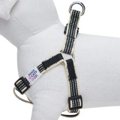 Dogs & Cats & Co. In The Night Dog Harness For Safety 28 Dogs & Cats & Co. In The Night Dog Harness For Safety -Dog & Cat Store 1060629046 4