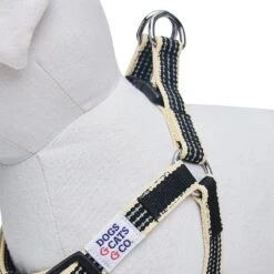 Dogs & Cats & Co. In The Night Dog Harness For Safety 29 Dogs & Cats & Co. In The Night Dog Harness For Safety -Dog & Cat Store 1060629046 5