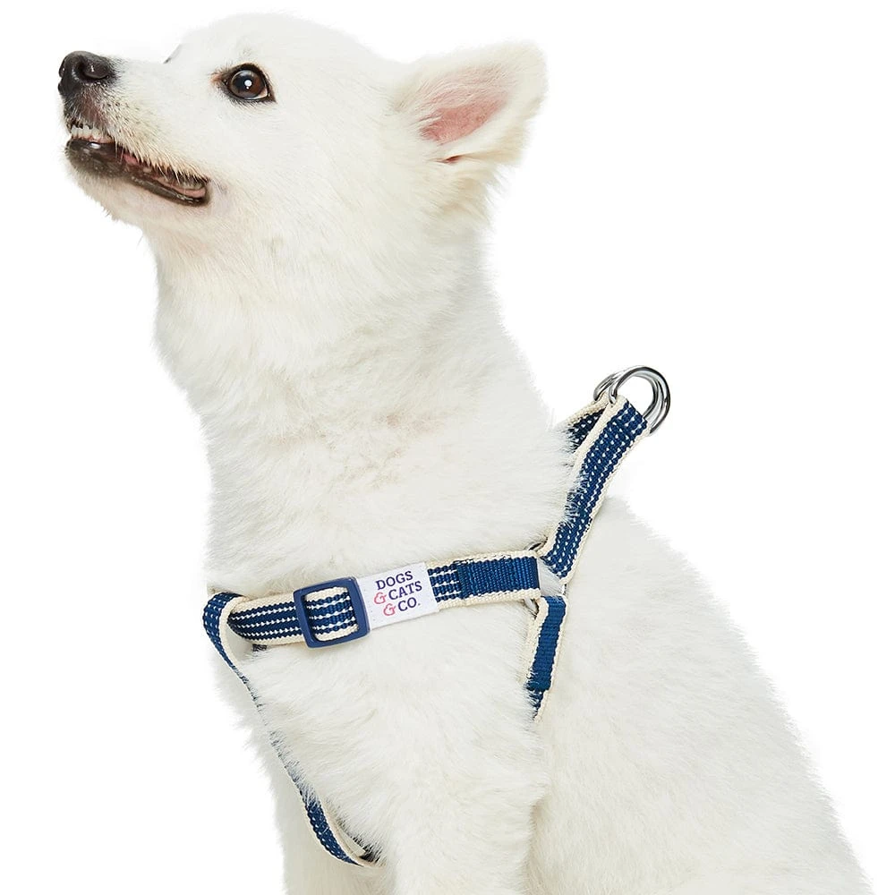 Dogs & Cats & Co. In The Night Dog Harness For Safety 2 Dogs & Cats & Co. In The Night Dog Harness For Safety - Image 2