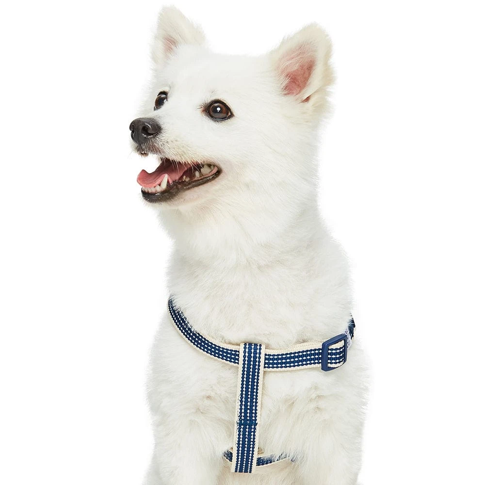Dogs & Cats & Co. In The Night Dog Harness For Safety 1 Dogs & Cats & Co. In The Night Dog Harness For Safety