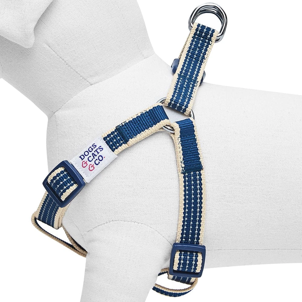 Dogs & Cats & Co. In The Night Dog Harness For Safety 4 Dogs & Cats & Co. In The Night Dog Harness For Safety - Image 4