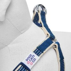 Dogs & Cats & Co. In The Night Dog Harness For Safety 24 Dogs & Cats & Co. In The Night Dog Harness For Safety -Dog & Cat Store 1060630042 5