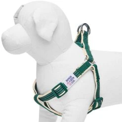 Dogs & Cats & Co. In The Night Dog Harness For Safety 32 Dogs & Cats & Co. In The Night Dog Harness For Safety -Dog & Cat Store 1060631049 1 2