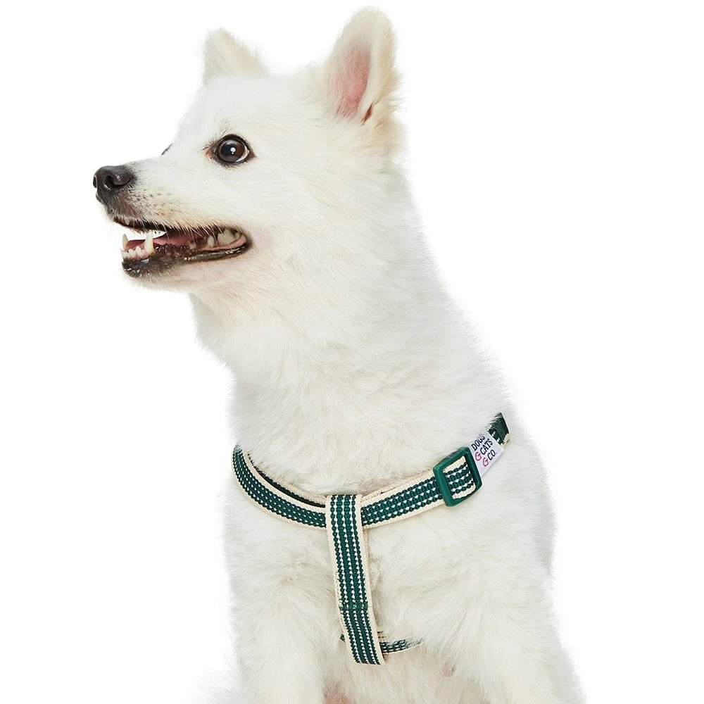 Dogs & Cats & Co. In The Night Dog Harness For Safety 11 Dogs & Cats & Co. In The Night Dog Harness For Safety - Image 11