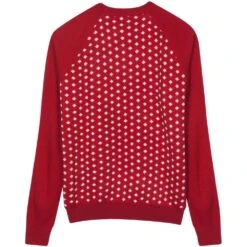 Holiday Family Matching Sweater In Tango Red For All -Dog & Cat Store 11010999045 2