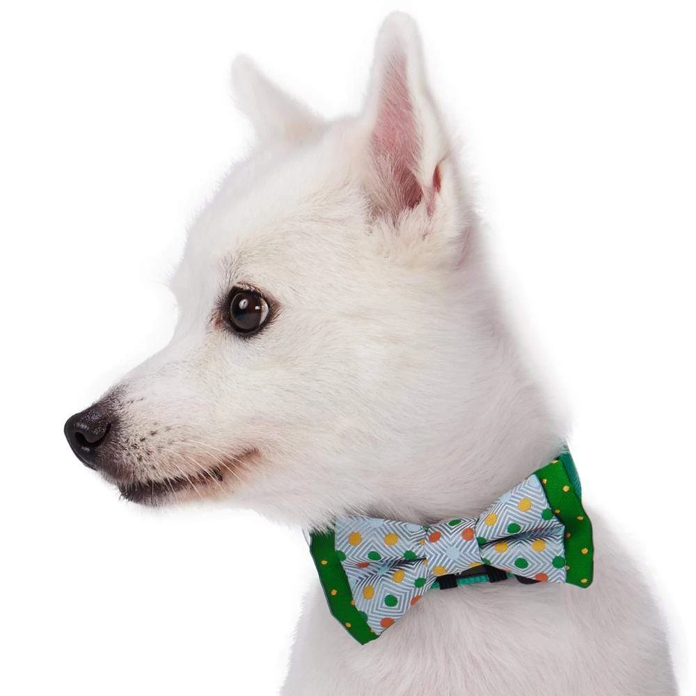 Stay Dotty Bow Tie Set For Trendy Pets In Chic Styles 2 Stay Dotty Bow Tie Set For Trendy Pets In Chic Styles - Image 2