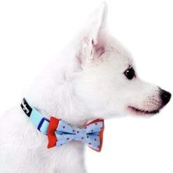Stay Dotty Bow Tie Set For Trendy Pets In Chic Styles 8 Stay Dotty Bow Tie Set For Trendy Pets In Chic Styles -Dog & Cat Store 11020326008 2