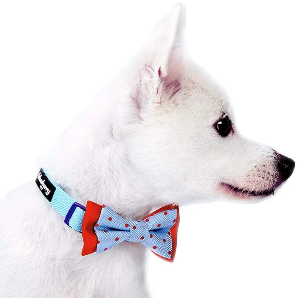 Stay Dotty Bow Tie Set For Trendy Pets In Chic Styles 3 Stay Dotty Bow Tie Set For Trendy Pets In Chic Styles - Image 3