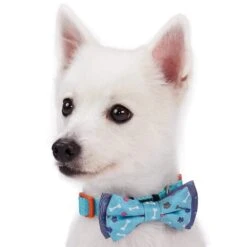 Go For Fun Bow Tie Set For Trendy Pets And Special Occasions