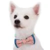 Stylish Paisley Bow Tie Set For Fashionable Dogs -Dog & Cat Store 11020328002 1