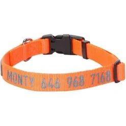 Personalized Dog Collar With Pet Name And Phone, Yellow -Dog & Cat Store 11040818040 1