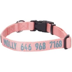 Personalized Dog Collar With Pet Name And Phone Pink Red -Dog & Cat Store 11040825048 1 3af95ee4 5404 46c4 aa77 1f0f4583cea3