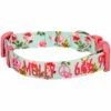 Personalized Petal Paws Floral Dog Collar For Girl Dogs -Dog & Cat Store 11040827042 1 2