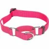 Martingale Safety Training Dog Collar, Pink/Red For Pets -Dog & Cat Store 11040905023 1