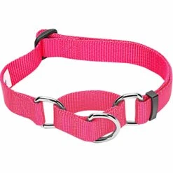 Martingale Safety Training Dog Collar, Pink/Red For Pets