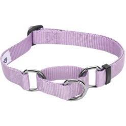 Martingale Safety Training Dog Collar, Purple For Control -Dog & Cat Store 11040909021 1