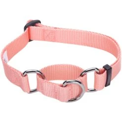 Martingale Safety Training Dog Collar, Pink/Red For Pets -Dog & Cat Store 11040910027 1