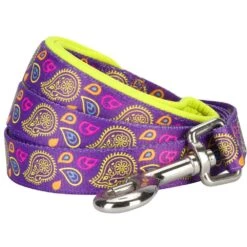 Stylish Paisley Print Dog Leash For Fashionable Walks -Dog & Cat Store 11050287041 1 f7cdb467 0c21 485f 9073 64b3b288297a
