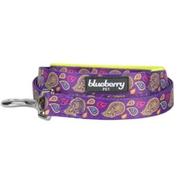 Stylish Paisley Print Dog Leash For Fashionable Walks -Dog & Cat Store 11050287041 2 c15e9fd9 355c 498d 8f22 9477635d4a14