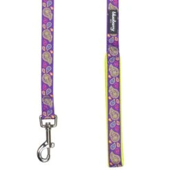 Stylish Paisley Print Dog Leash For Fashionable Walks -Dog & Cat Store 11050287041 3 2bbec227 e892 4848 a0f4 0533b94b4966
