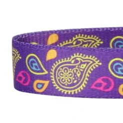 Stylish Paisley Print Dog Leash For Fashionable Walks -Dog & Cat Store 11050287041 4 c1f1673e 09b3 40de b1f6 c49c537fefd7