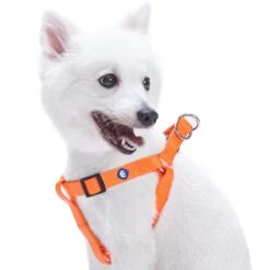 Classic Solid Color Adjustable Dog Harness, Yellow/Orange -Dog & Cat Store 11060171040 1 1 9567ad57 38bb 4039 8746 850ac90c7f06