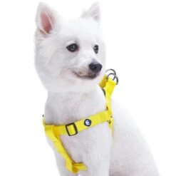 Classic Solid Color Adjustable Dog Harness, Yellow/Orange -Dog & Cat Store 11060172047 1 1 b7fcf5a3 9177 4e24 97ca 816518c64a12