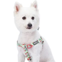 Petal Paws Floral Dog Harness For Stylish Canine Comfort -Dog & Cat Store 11060202041 1 b8d8e92b db5f 4ed7 8310 340d1f2caafb