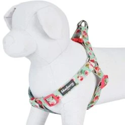 Petal Paws Floral Dog Harness For Stylish Canine Comfort -Dog & Cat Store 11060202041 3 4 bedfbc2a a4fb 4e65 839e ac8caca7b34e