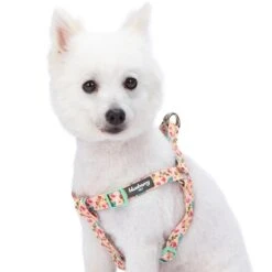 Petal Paws Floral Dog Harness For Stylish Canine Comfort -Dog & Cat Store 11060203048 1
