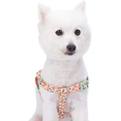 Petal Paws Floral Dog Harness For Stylish Canine Comfort -Dog & Cat Store 11060203048 2