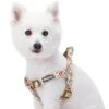 Petal Paws Floral Dog Harness For Stylish Canine Comfort -Dog & Cat Store 11060205042 1 b1051017 0f85 4683 ae43 33532cf992a9