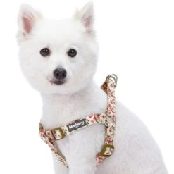 Petal Paws Floral Dog Harness For Stylish Canine Comfort