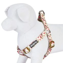 Petal Paws Floral Dog Harness For Stylish Canine Comfort -Dog & Cat Store 11060205042 3 a8a758e6 f47b 4180 822f 2c8d7ac0f264