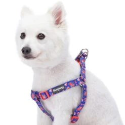 Petal Paws Floral Dog Harness For Stylish Canine Comfort -Dog & Cat Store 11060206049 1 025b2ffc 5e40 43f2 be7a 4d4b91e98b87