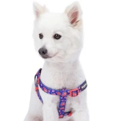 Petal Paws Floral Dog Harness For Stylish Canine Comfort -Dog & Cat Store 11060206049 2 d9d70302 e99c 47b2 893e b4b128dee42f