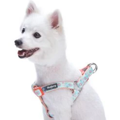Paisley Print Padded Dog Harness For Stylish Comfort -Dog & Cat Store 11060207046 1