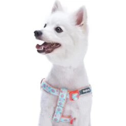 Paisley Print Padded Dog Harness For Stylish Comfort -Dog & Cat Store 11060207046 2