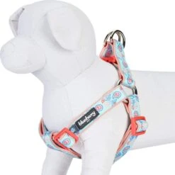 Paisley Print Padded Dog Harness For Stylish Comfort -Dog & Cat Store 11060207046 3