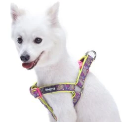 Paisley Print Padded Dog Harness For Stylish Comfort -Dog & Cat Store 11060208043 1