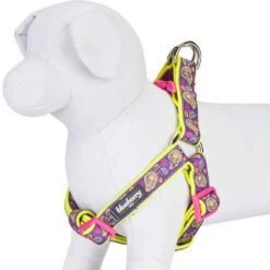 Paisley Print Padded Dog Harness For Stylish Comfort -Dog & Cat Store 11060208043 3