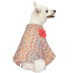 All-Weather Costume Dog Poncho With Flower For Pets Stylish -Dog & Cat Store 1110133042 1