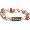 Petal Paws Floral Dog Collar For Stylish Pets -Dog & Cat Store 11140275040 1