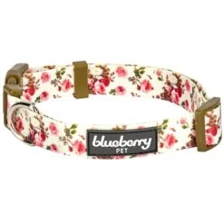 Petal Paws Floral Dog Collar For Stylish Pets