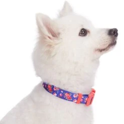 Petal Paws Floral Dog Collar For Stylish Pets -Dog & Cat Store 11140276047 3
