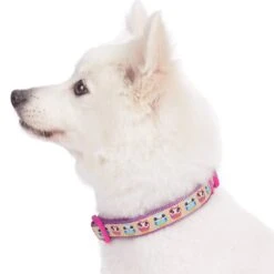 Flamingo Ladybug Dog Collar Summer Tropical Palm Leaves -Dog & Cat Store 11140284042 3